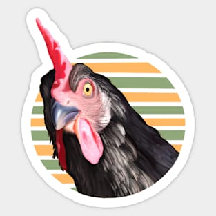 Funny Chicken Sticker
